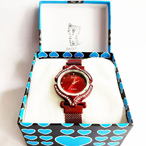 Stylish Ladies Watch